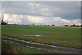 Farmland, Redhouse Farm