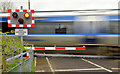 Kingsmoss No1 level crossing - April 2014(2)