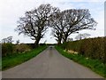 Entrance To Jack Nook Farm