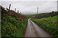 Taunton Deane District : Country Lane