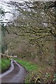 Taunton Deane District : Country Lane