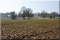 Farmland above the Dove