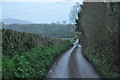 Mid Devon : Country Lane