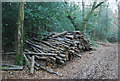 Log pile, Marley Common