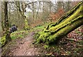 Footpath, Bridge End Quarry