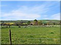 Farm near Iford