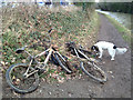 Abandoned bikes by the Grand Union Canal, Royal Leamington Spa