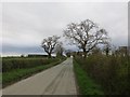 Road between Aston and Babbins Wood