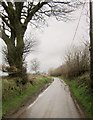 SS9930 : Lane to Venne by Derek Harper