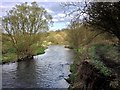 River Roch near Blackford Bridge