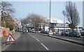 Torbay Road in spring