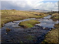 Stream from Traeth Mawr