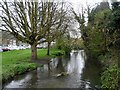 The River Wye, High Wycombe