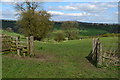 Field gate on footpath near Ossoms Hill