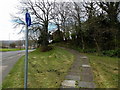 Footpath and cycleway on the north side of Maendy Way, Cwmbran