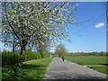 TQ4067 : Springtime in Norman Park by Marathon