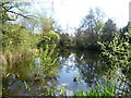 The lake in Hollydale Recreation Ground