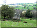 Ruined barn near Emms Hill Farm