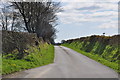 Carmarthenshire : Country Lane