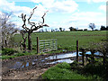 NZ1027 : Muddy gateway at New Field Farm by Oliver Dixon