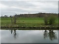 Eastern floodbank of the River Don