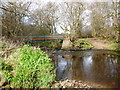 Footbridge and ford over River Nethan