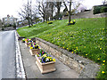 Floral display on the village green at Witton-le-Wear