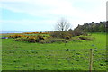 Farmland & Woodland at Low Salchrie