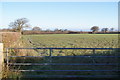 Farmland near Tinker