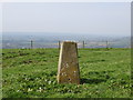 Ordnance Survey Triangulation Pillar S5695