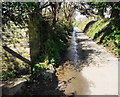 Minor road from Ringmore to Marwell Cross