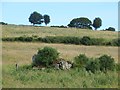 C4800 : Loughash Wedge Tomb by Richard Webb