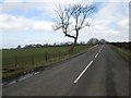 Looking back on the Boghall Road