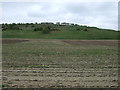 Farmland towards Nettleton Hill