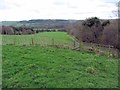 Pasture near Whitchells Wood