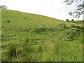 Field,  Rouskey Road