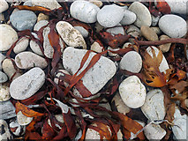 HU6872 : Seaweed and pebbles at the shore of Vogans Voe, Housay by Julian Paren