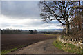 Track to Hallyburton House