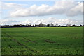 Flat farmland, Ashbocking