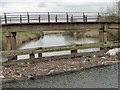 The River Don below the New Cut