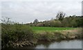 Out for a walk along the riverbank, east of Sprotbrough