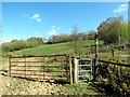 Llwybr Betws Path