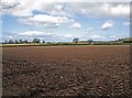 SO8678 : Ploughed field near Kidderminster by P L Chadwick