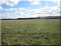 NT9633 : Grassland west of Fenton by Graham Robson