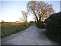 Track to Lea Farm, Rye Foreign