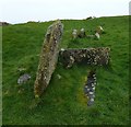 NR9521 : Torrylin Chambered Cairn by Rob Farrow