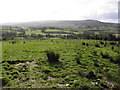 Edenreagh Townland