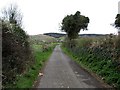 View north along the southern section of Mill Road, near Meigh