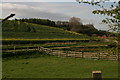 Hillside by the drive to Burnham Beeches Farm