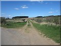 NT9633 : Farm track west of Fenton by Graham Robson